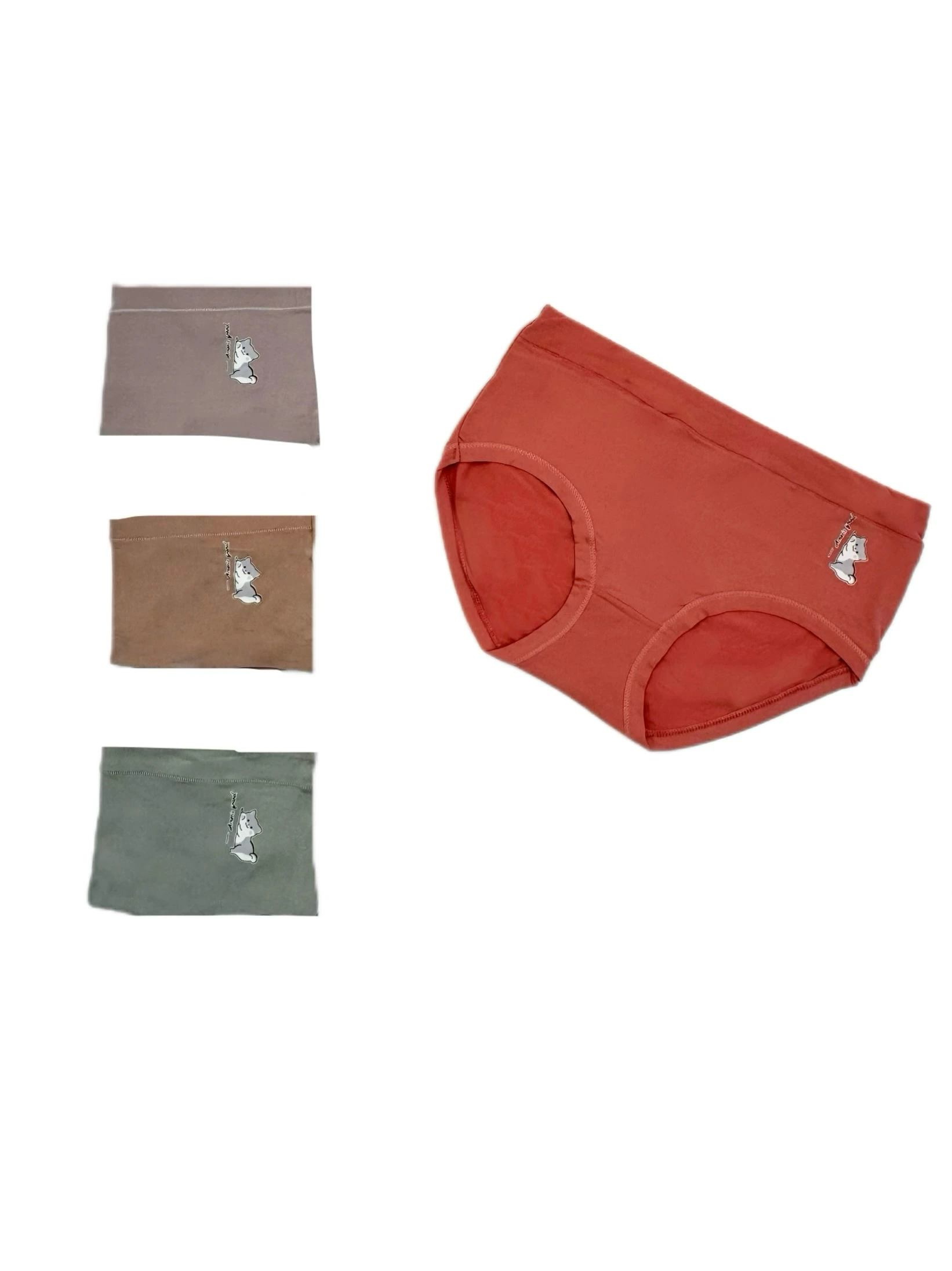 شورت زنانه کنار گربه