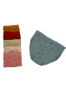 شورت زنانه طرح آلبالو