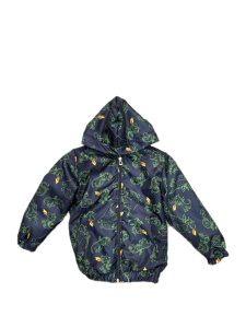 سویشرت اسپرت دایناسور