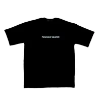 تیشرت مردانه peachet neapar