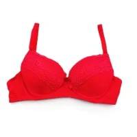 سوتين زنانه گيپور